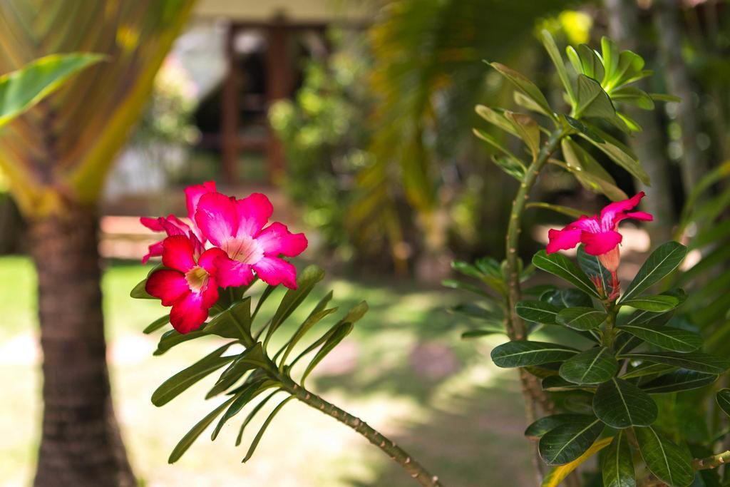 Easy Time Resort Laem Sai Beach Exterior foto